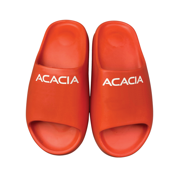 InPickleball | Acacia slides
