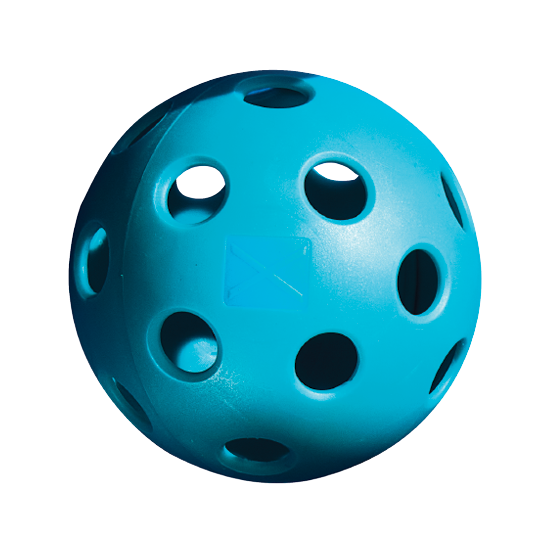 InPickleball Equipment Buzz - Pickleballs - Have a ball - Franklin Sports X 26 indoor ball